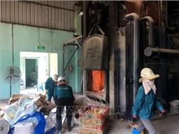Bắt giữ, tiêu hủy hơn 4.000 con gà lậu nhập về từ biên giới